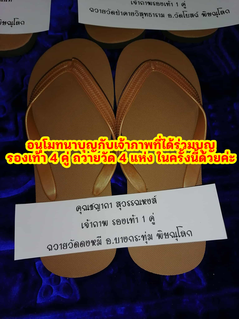 ชญาภา-png.png