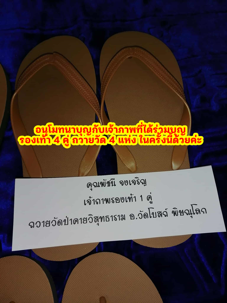 พัชนี.png