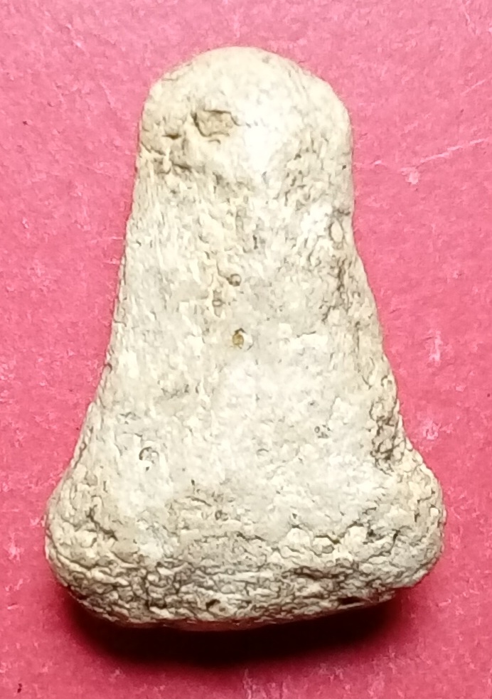 20260118_215534.jpg
