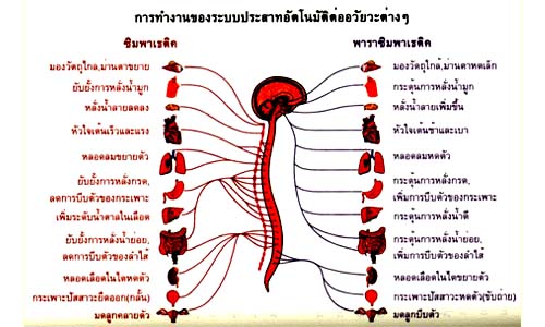 3619;3632;3610;3610;3611;3619;3632;3626;3634;3607;3629;3633;3605;3650;3609;3617;3633;3605;3636;.jpg