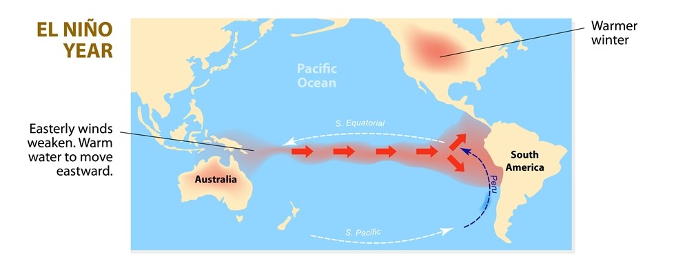 El-Nino-Year.jpg