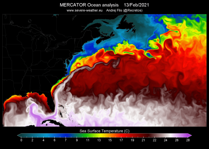 st-united-states-february-2021.png-nggid0522285-ngg0dyn-700x700x100-00f0w010c010r110f110r010t010.png